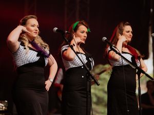 Supporting image for story: GALLERY: Sell-out crowds enjoy Rock and Bowl Festival 