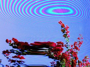 Supporting image for story: Friendly Fires, Inflorescent - album review