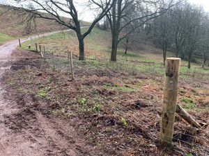 Supporting image for story: 'It's so ugly and unsightly' - visitors tell of shock and sadness as National Trust fences off beauty spot's much-loved bluebell valley