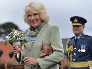 Supporting image for story: Duchess of Cornwall hails close military ties in Staffordshire visit