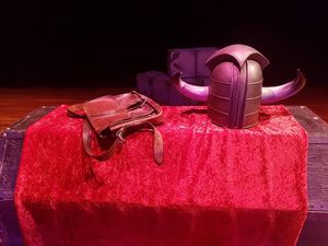 The famous helmet of justice and the knapsack. Pictures by: Wayne Beese
