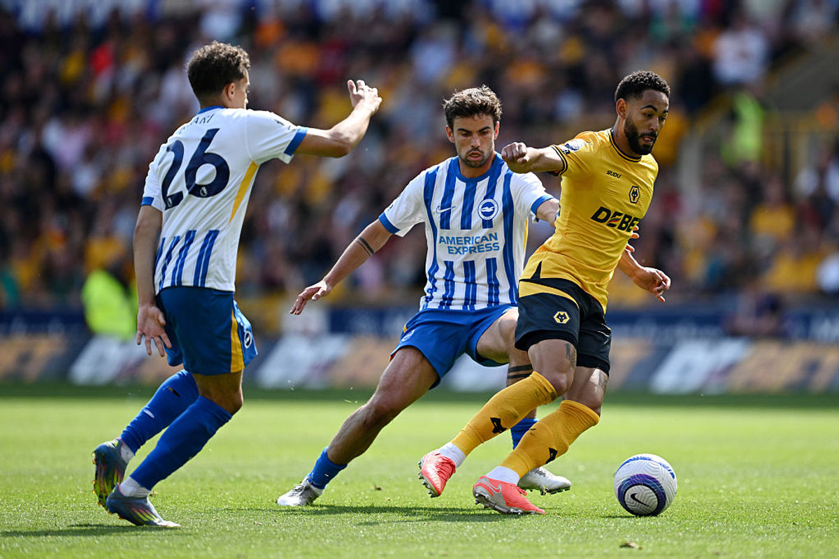Wolves 0 Brighton 2 - Report