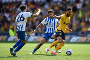 Supporting image for story: Wolves 0 Brighton 2 - Report