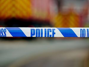 Supporting image for story: 'There was blood everywhere' Woman and 14-year-old boy mauled by dog 





