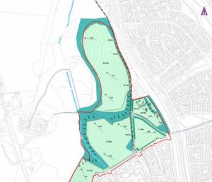 A map of the proposed layout of the phallic shaped site. Picture: AtkinsRéalis/Telford & Wrekin Council and Homes England.