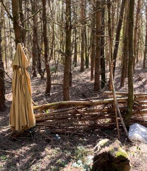 Buzzards Valley is home to semi-natural Ancient Woodland.