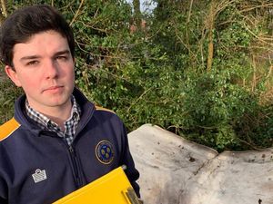 Supporting image for story: Scrapping Shropshire Council pest control officers will hit residents hard, says councillor