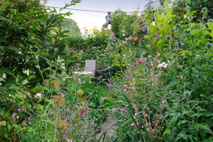 Couple John Butcher, 37 and Sarah Berry, 33, from Market Drayton are among eight households shortlisted in the BBC Gardeners’ World Award. Photo: Neil Hepworth