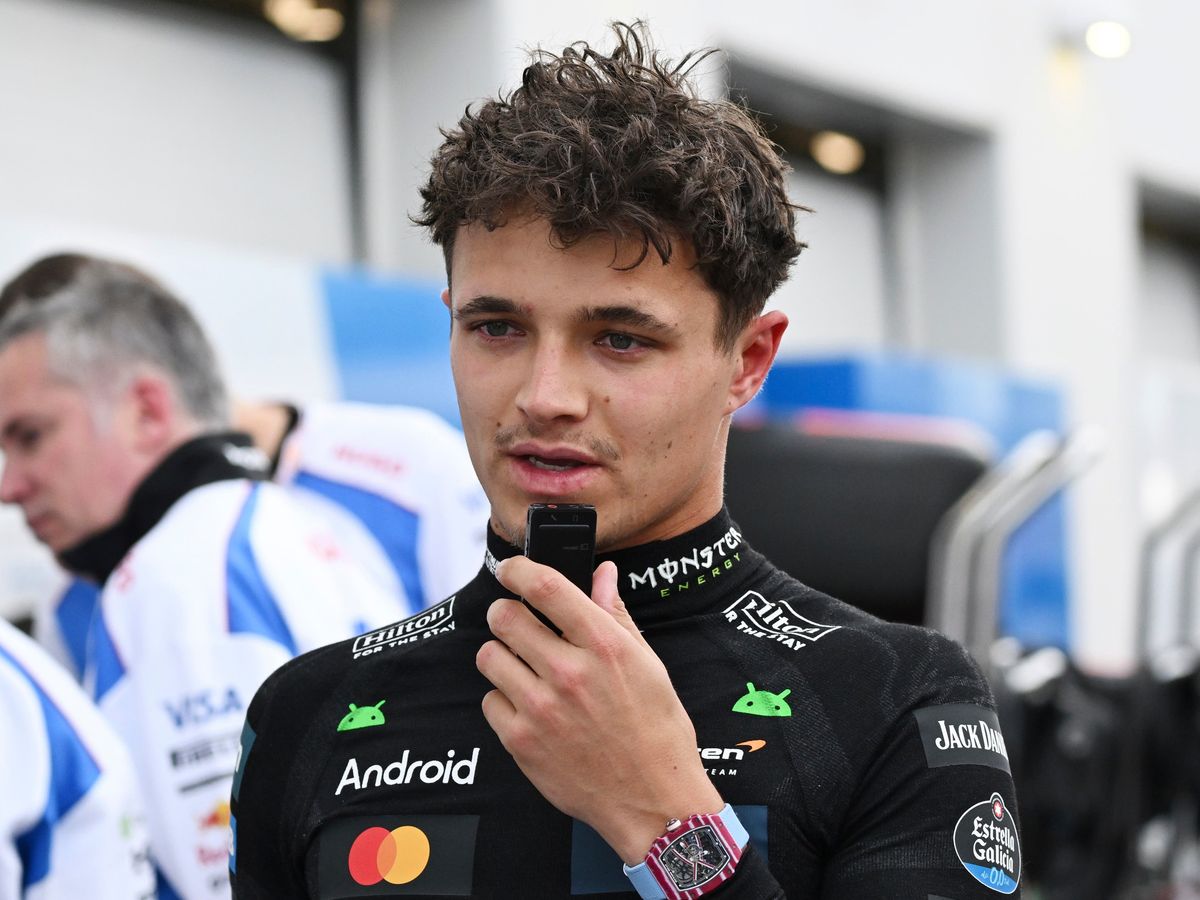 Strong show in final practice gives Lando Norris reasons to be cheerful again