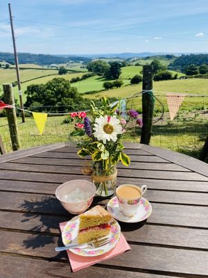 Open on Saturday, August 2 and Sunday August 3 from 1.30 to 5.30pm is Moel y Gwelltyn Ucha, Llansilin, Oswestry