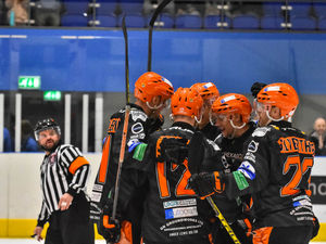 Supporting image for story: Telford Tigers desperate to snap poor run