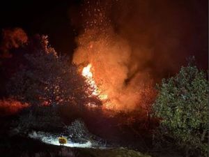 Supporting image for story: Firefighters battle two giant wildfires on frantic day of incidents across Shropshire