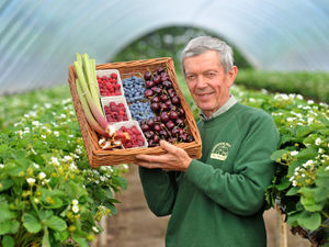 Supporting image for story: Farm’s customers keep growing