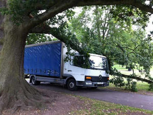 Supporting image for story: Lorry stuck after crashing into tree