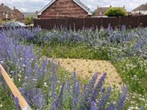 Bioswales installed by Severn Trent in Mansfield. Picture: Severn Trent