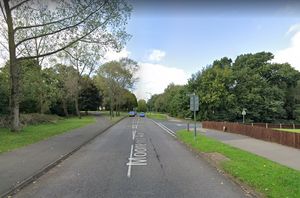 Supporting image for story