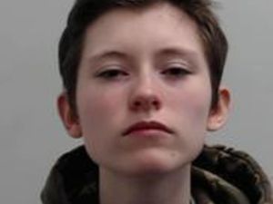 Supporting image for story: Teenager jailed for school shooting fantasy inspired by Columbine massacre