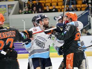 Supporting image for story: Telford Tigers suffer play-off heartbreak 