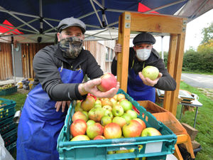 Supporting image for story: Cracking idea to help horse drawn narrowboat