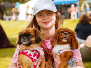 Supporting image for story: Ludlow Dog Day organisers step away with no guarantee that they'll be coming back - here's why