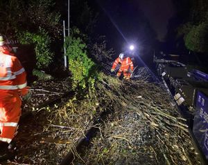 Workers clearing a tree on the railway at Sutton Park. Photo: @NetworkRailBHM

