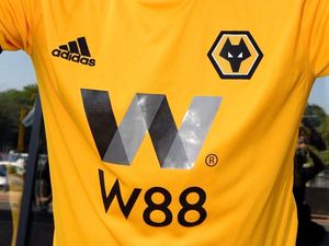 Supporting image for story: Wolves demand High Court throw out wolf logo copyright claim