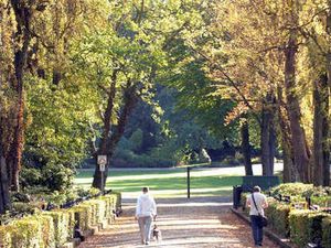 Supporting image for story: Warning after balaclava-clad boy tries to 'lure child to party' in Walsall