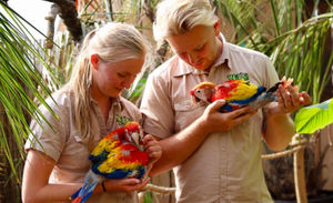 Supporting image for story