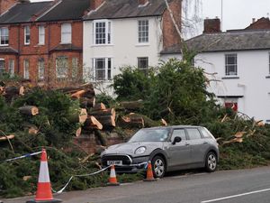 Supporting image for story: Power returned to all homes after Storm Darragh
