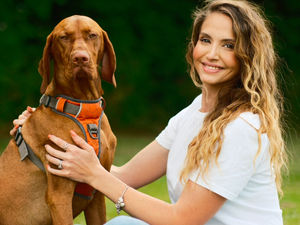 Supporting image for story: New Staffordshire dog business gets tails wagging with eco-friendly treats