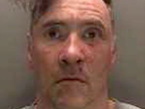 Supporting image for story: Liverpool parade crash driver ‘bit through my ear, chewed it up and spat it out’