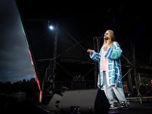 Supporting image for story: Singer-songwriter Sam Ryder to join McFly in Shropshire festival line-up