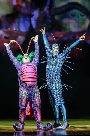 Cirque du Soleil OVO. Pictures by: Chris Bowley