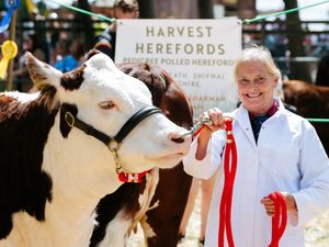 Supporting image for story: Alice scoops major award at Oswestry Show