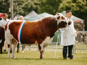 The Shropshire County Show returns in May