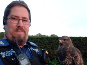 Supporting image for story: Hot Buzz! All in a day's work as police officer rescues buzzard in rural Shropshire