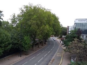 Supporting image for story: Shrewsbury road to remain open after tree works completed ahead of schedule