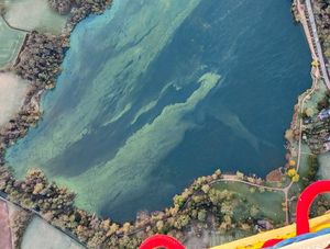 Supporting image for story: Ellesmere's Mere still off limits to swimmers amid potentially toxic algae bloom