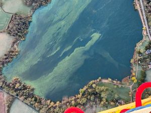 Supporting image for story: Ellesmere's Mere still off limits to swimmers amid potentially toxic algae bloom
