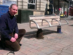 Supporting image for story: Stourbridge buzzing with excitement as bees swarm around bench