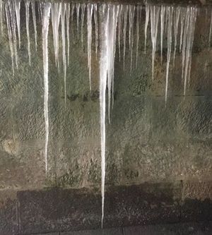 These icicles formed in Norbury, near Bishops Castle. Photo: Rory Bowen