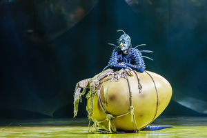 Cirque du Soleil OVO. Pictures by: Chris Bowley