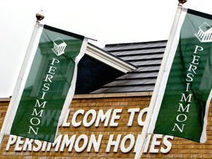 Supporting image for story: Pandemic sees Persimmon new building drop
