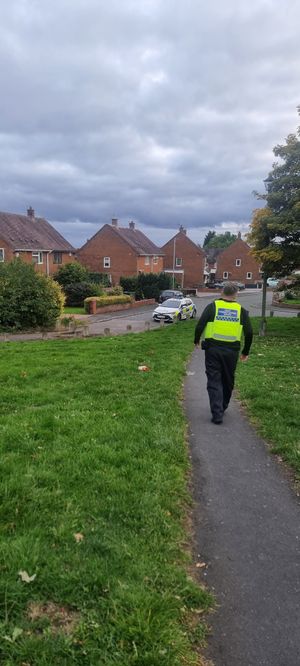 The grasslands in Ashmore Park