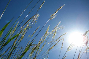 Supporting image for story: On a dark, drab wintry day I dream of LA living