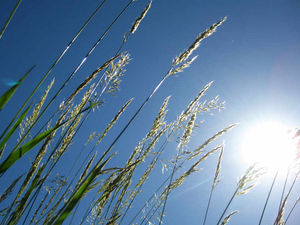 Supporting image for story: On a dark, drab wintry day I dream of LA living