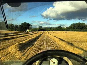 Supporting image for story: It's slow and steady for these farmers