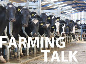 Supporting image for story: Farming – is it a way of life or a business?