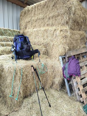 One night Lucy slept in a barn after helping a farmer to feed his calves