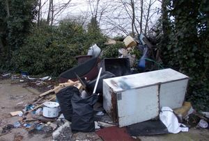The items of waste dumped by the fly tippe